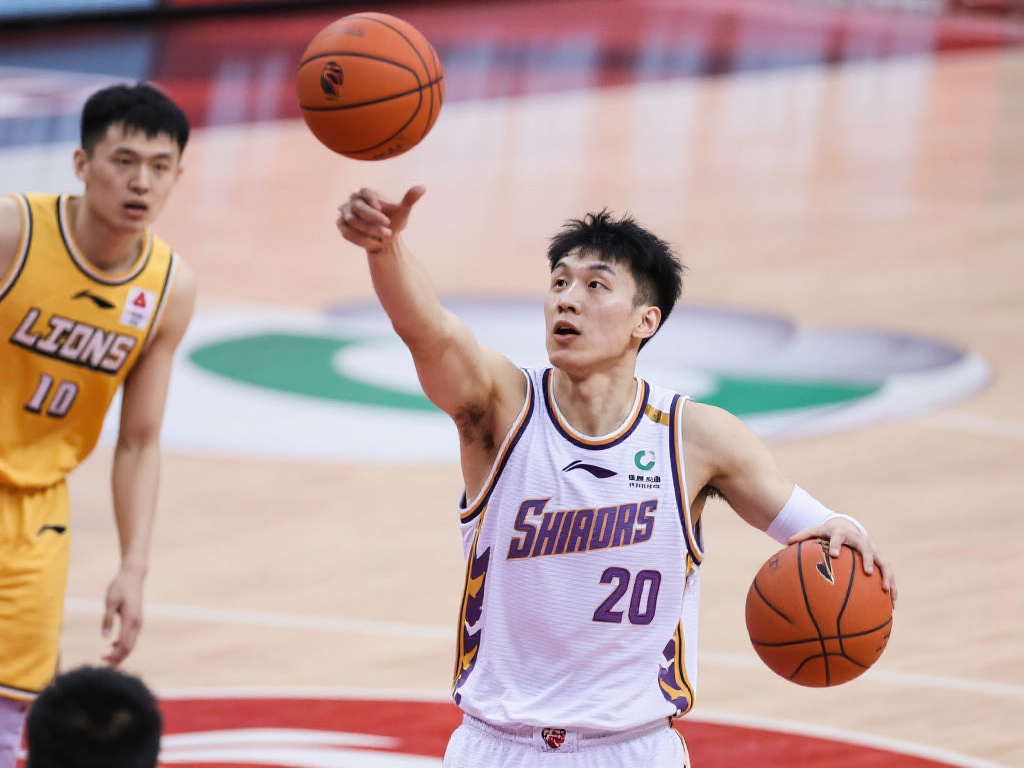 的巅峰舞台 的巅峰舞台